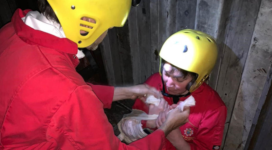 STCW Elementary First Aid